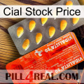 Cial Stock Price new01